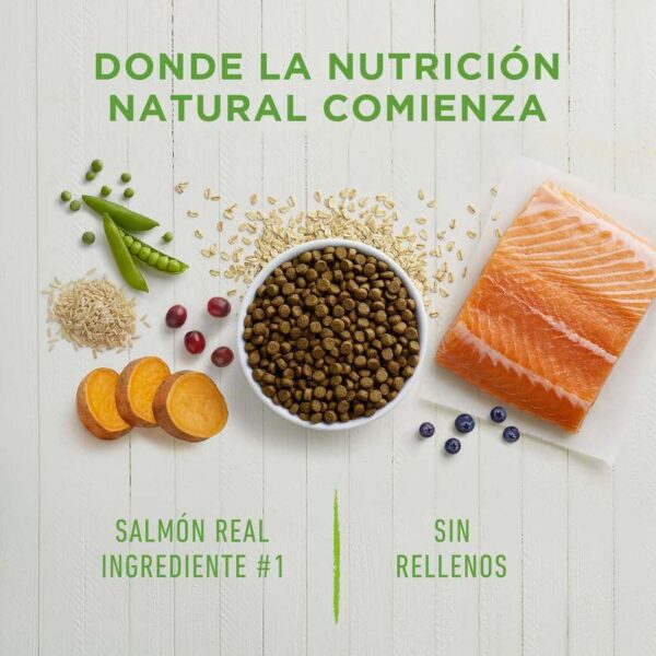 Instinct Be Natural Salmón - Para Perros - Image 2